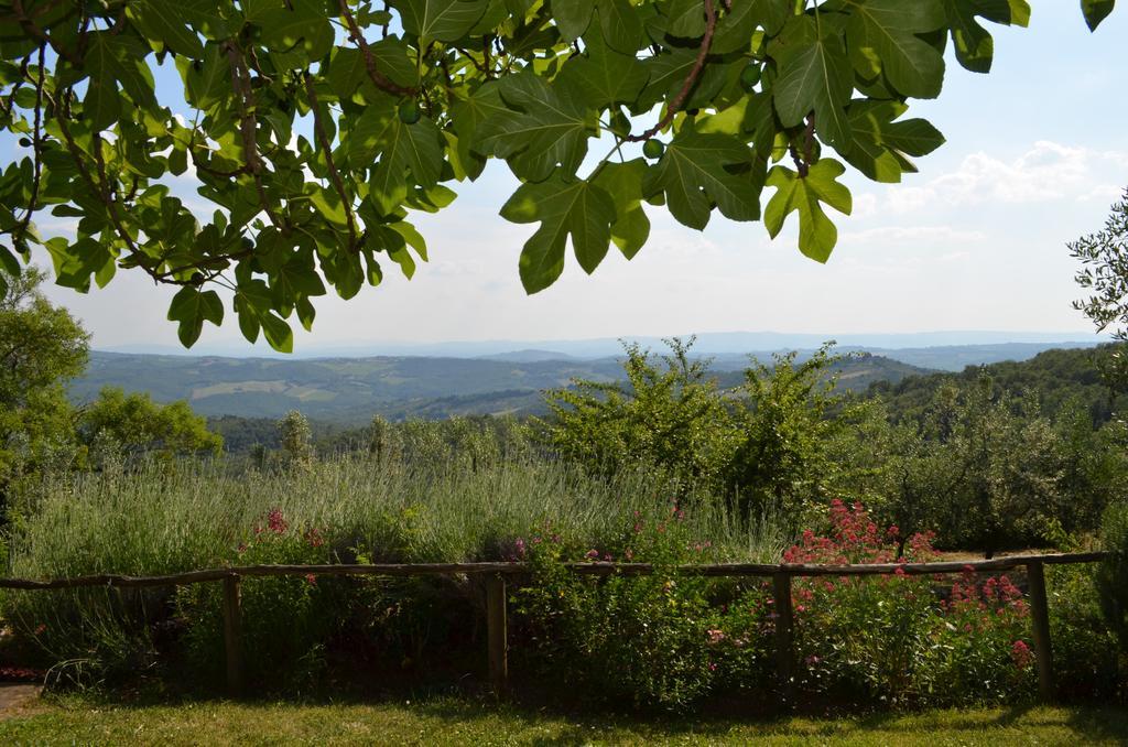 Casa Ercole Farm Stay 그레베 인 키안티 외부 사진