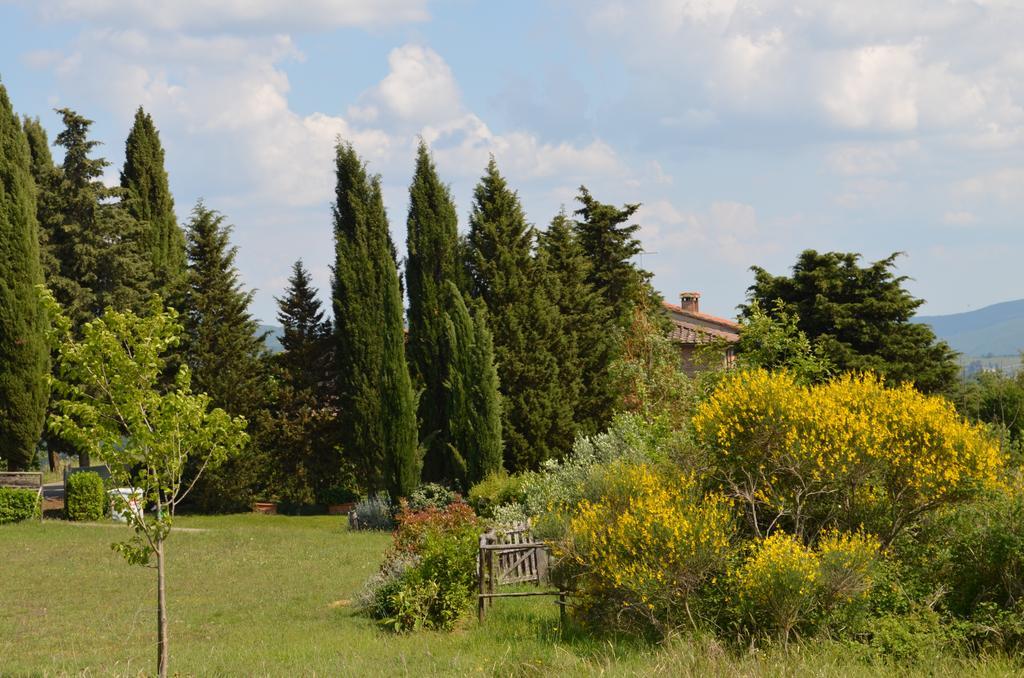 Casa Ercole Farm Stay 그레베 인 키안티 외부 사진