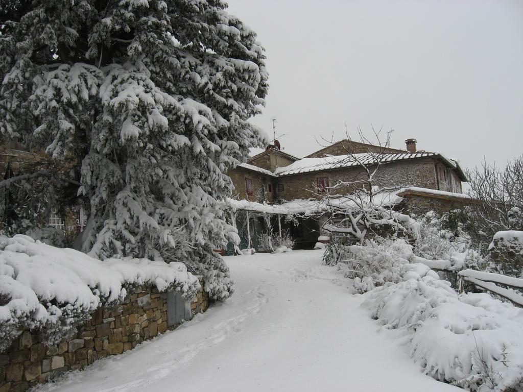 Casa Ercole Farm Stay 그레베 인 키안티 외부 사진